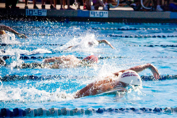 Preperation For Success